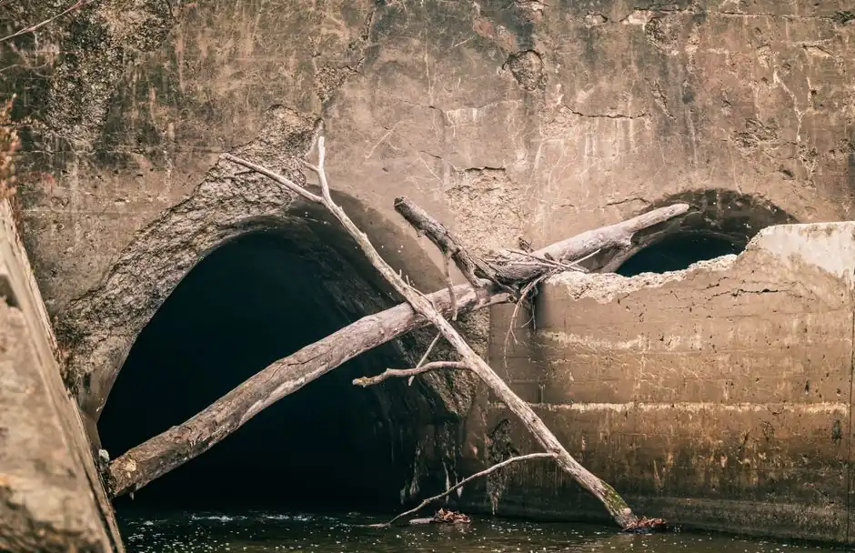 Local Sewer Line Repair team in Royal Oak